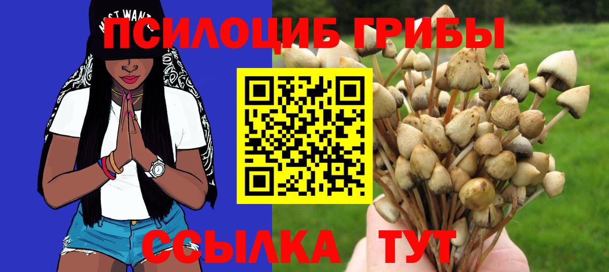 Псилоцибиновые грибы MAGIC MUSHROOMS Кстово